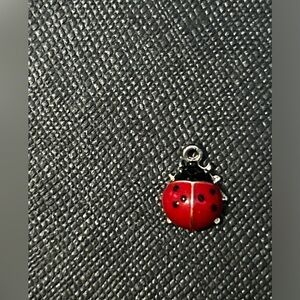 Mini Y2K Ladybug Charm | Whimsical Insect Pendant | Kawaii Jewelry 1/2 Inch